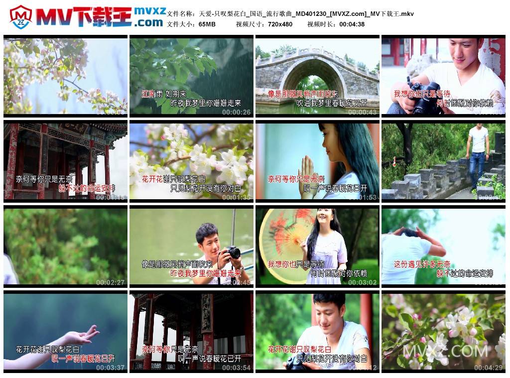 天爱-只叹梨花白_国语_流行歌曲_MD401230